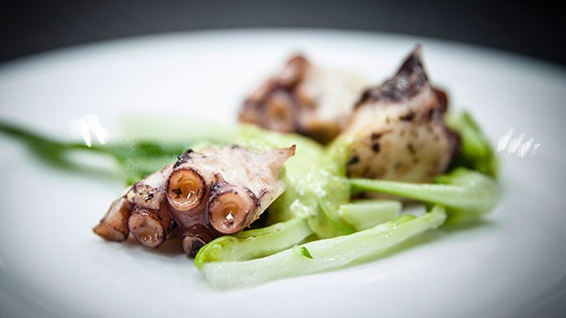 Steamed Octopus, American Pistachios Pesto and Puntarelle Chicory
