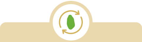 Complete Protein and Fiber